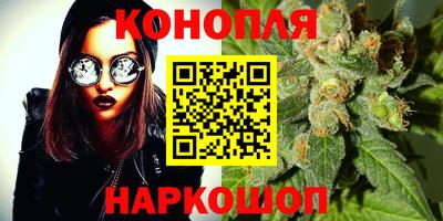 гидра Можайск
